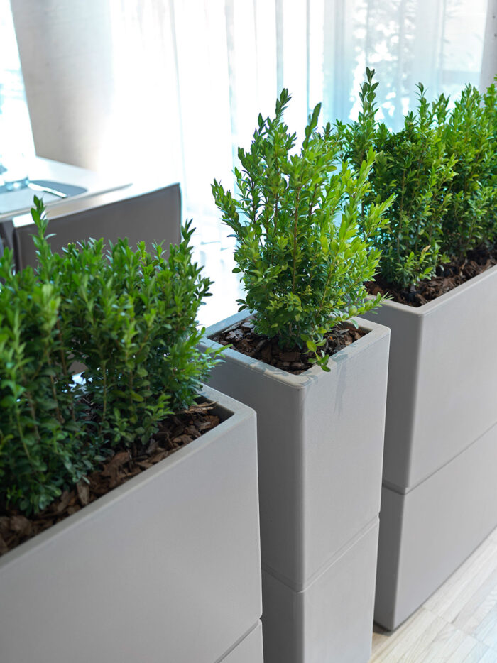 Colonna Patio - immagine 2