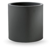 Vaso Cosmos Cilindro - immagine 4