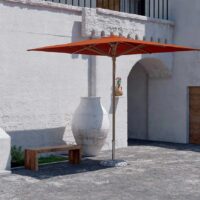 Petrarca Legno - immagine 2